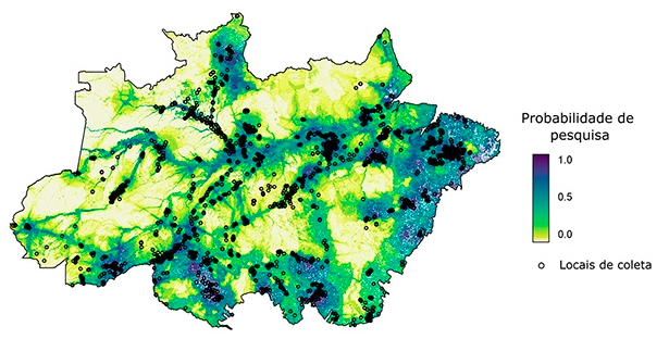 Amazônia ameaçada: Colniza, um retrato do desmatamento em Mato Grosso